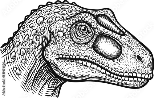 detailed dinosaur head illustration hand drawn prehistoric reptile sketch with scales, eye, and teeth vintage animal engraving