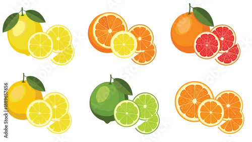 Collection of various citrus fruits including whole lemons limes oranges and grapefruits with slices and segments for culinary use.