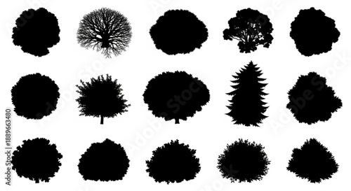 Collection of various black silhouettes of spiky plants and flowers against a plain background from a direct viewpoint