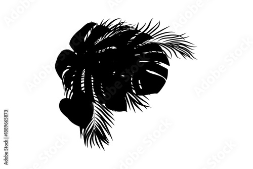 Black and white tropical leaves