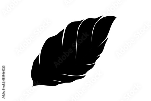 Silhouette of a leaf