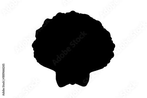 Silhouette of a shell