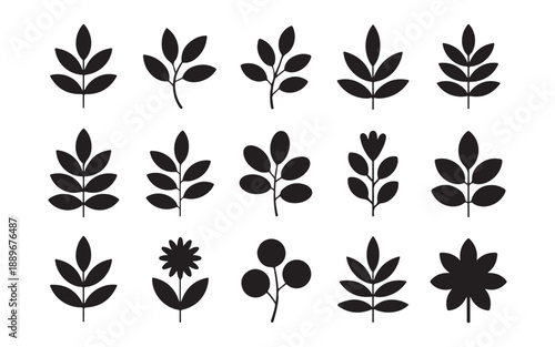 Leaf branch silhouettes collection botanical plant elements floral icons set garden nature greenery vector art
