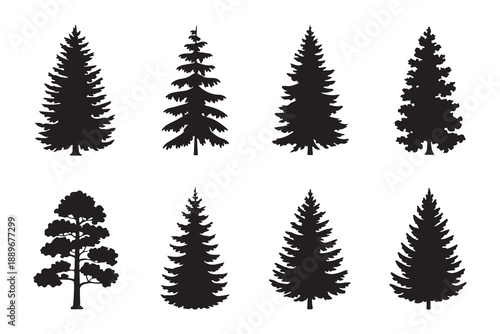 Collection of various black silhouetted evergreen fir and pine trees isolated on white background for design