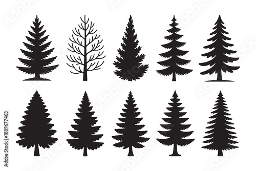 Set of various evergreen and pine trees silhouette for winter forest landscape design elements nature