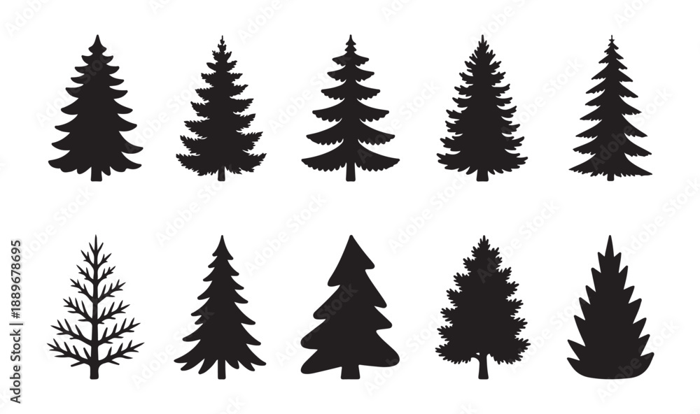 Fototapeta premium Set of ten different conifer tree silhouettes and deciduous tree outlines on white background