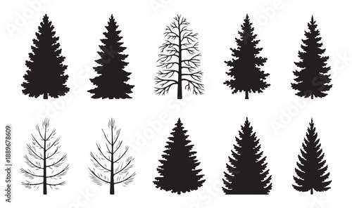 Set of ten different conifer and deciduous tree silhouettes and line art on white background