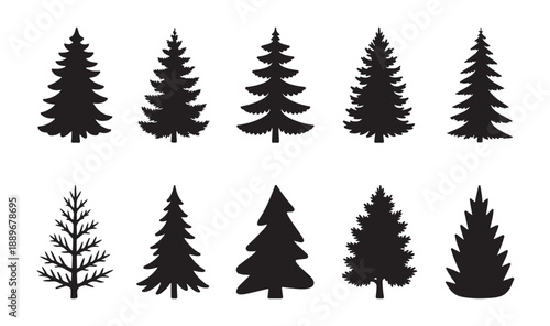Set of ten different conifer tree silhouettes and deciduous tree outlines on white background