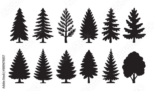 Set of evergreen tree silhouettes in different shapes for landscape design and forest illustration