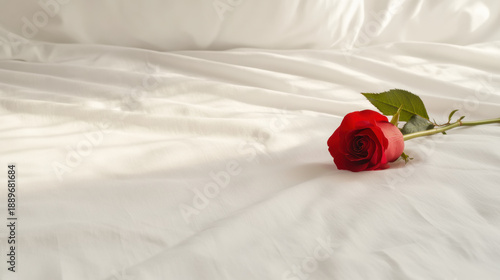 Single red rose with green leaves lies on soft white fabric, evoking romantic and gentle emotions in peaceful setting