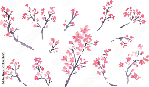 水彩。水彩タッチで描いた日本の桜イラスト。梅の花のベクターイラスト。
Watercolor. Japanese cherry blossom illustration drawn with watercolor touch. Vector illustration of plum blossom.