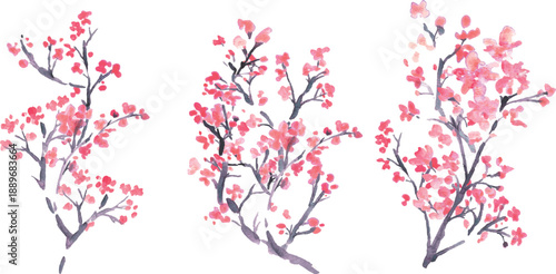 水彩。水彩タッチで描いた日本の桜イラスト。梅の花のベクターイラスト。
Watercolor. Japanese cherry blossom illustration drawn with watercolor touch. Vector illustration of plum blossom.