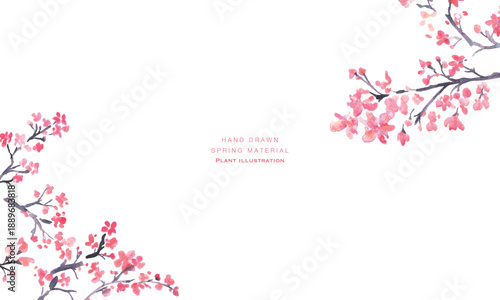 水彩。水彩タッチで描いた日本の桜イラスト。梅の花のベクターイラスト。
Watercolor. Japanese cherry blossom illustration drawn with watercolor touch. Vector illustration of plum blossom.
