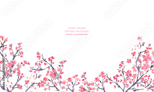 水彩。水彩タッチで描いた日本の桜イラスト。梅の花のベクターイラスト。
Watercolor. Japanese cherry blossom illustration drawn with watercolor touch. Vector illustration of plum blossom.