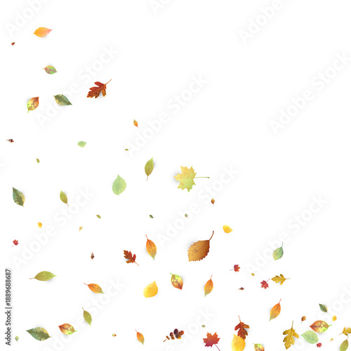 Leaves Falling Autumn Foliage Chaotic Leaf Flying
