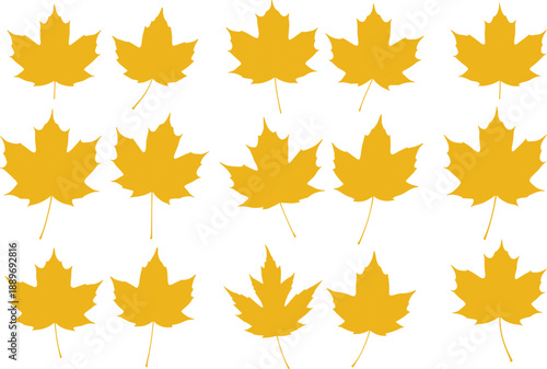Stylized yellow maple leaves arranged in rows, showcasing seasonal foliage, autumn pattern, nature symmetry, botanical variation