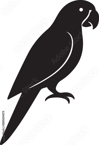 vector illustration of a bird