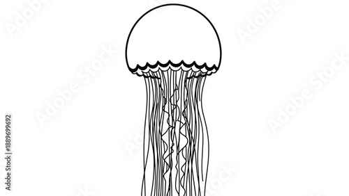 Simple black and white line drawing of a jellyfish with long flowing tentacles isolated on a clean white background.
