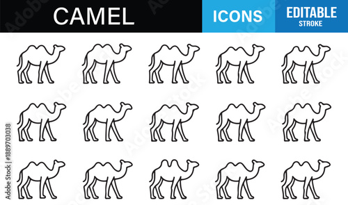 Desert animal icon set featuring camels