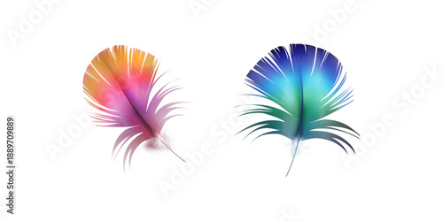 Realistic fluffy feather set on clean white background featuring colorful bird and angel wing feathers for decoration fantasy art and creative design use