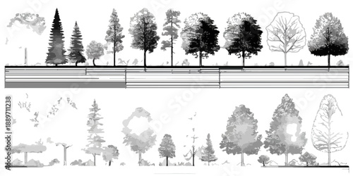 Kolekcja różnych drzew w stylu rysunkowym, przedstawiona na przezroczystym tle.
