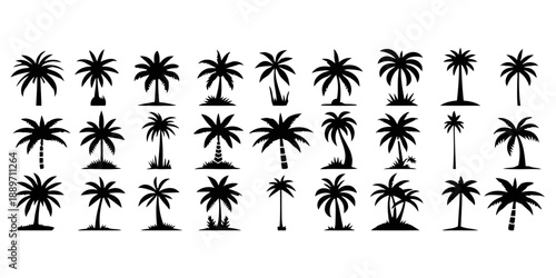 Tropical palm tree silhouettes collection showcasing diverse shapes heights conveying exotic island paradise vibes ideal for vacation themes or decorative designs monochrome