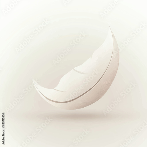 Single white feather floating softly.