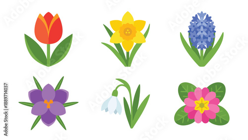 A collection of six colorful spring flowers including tulip, daffodil, hyacinth, crocus, snowdrop, and primrose on a white background.
