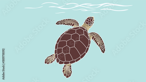 Majestic sea turtle swimming gracefully through the clear blue ocean water seen from a top down aerial camera perspective.