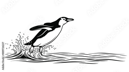 a black and white penguin leaping from water a dynamic and graceful silhouette