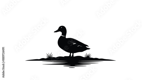 a simple black duck illustration against a white background silhouette