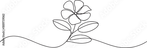 Single one line drawing of beauty fresh catharanthus for garden logo. Decorative periwinkle flower concept for home wall decor art poster print. one line Icon drawing