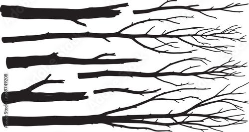 Black and White Line of Branches and Twigs also transparent background line branches nature