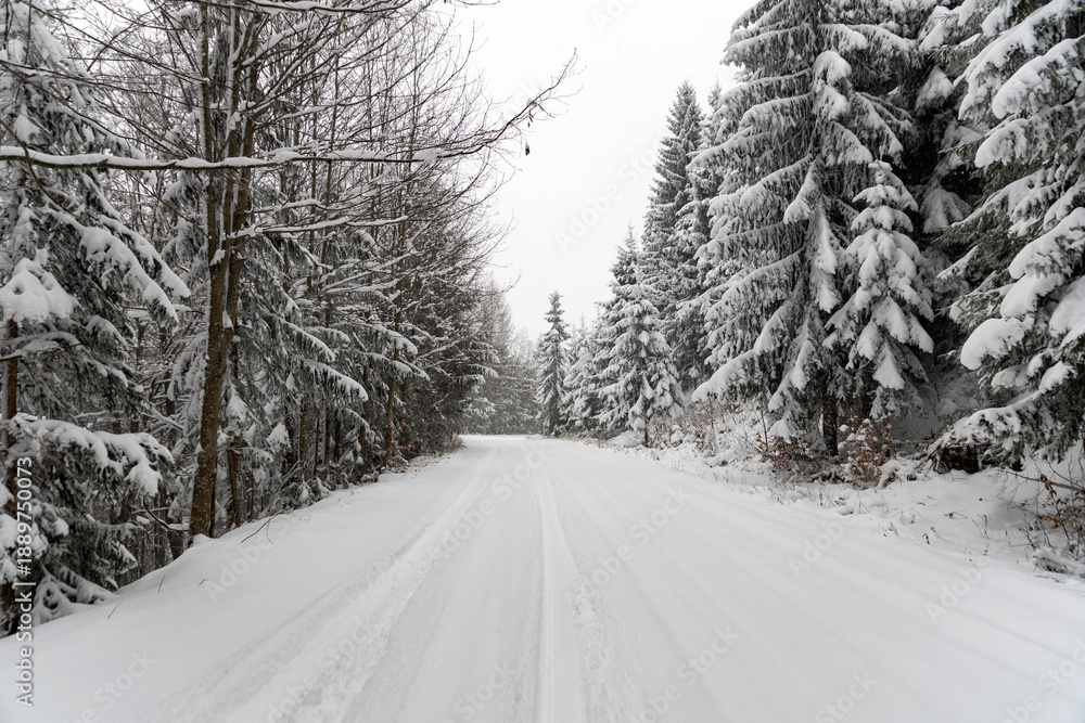 Obraz premium A beautiful shot of a road leading through snowy trees