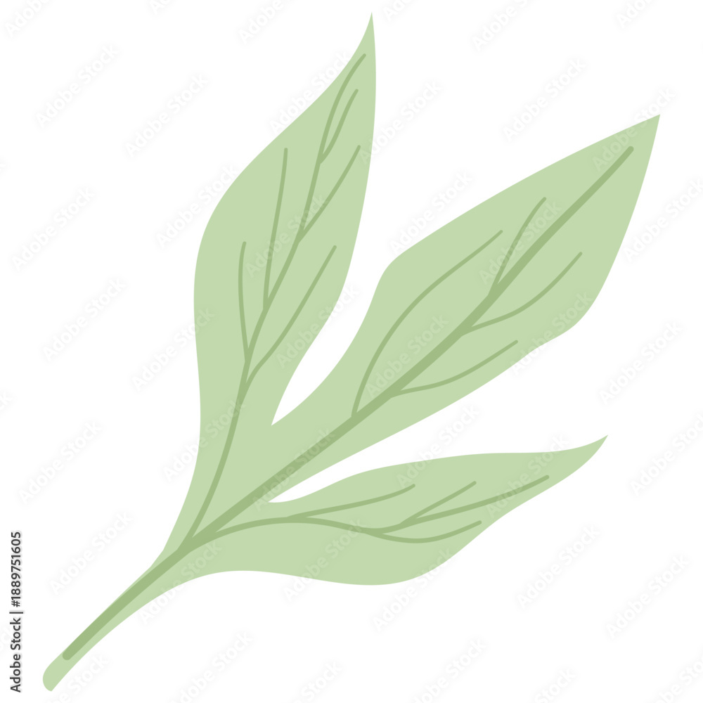 Obraz premium Green Leafs Illustration