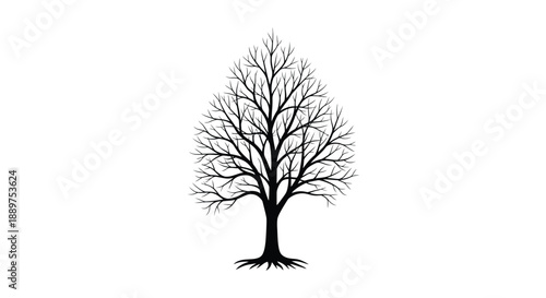 A stark bare tree stands against a white background a striking silhouette