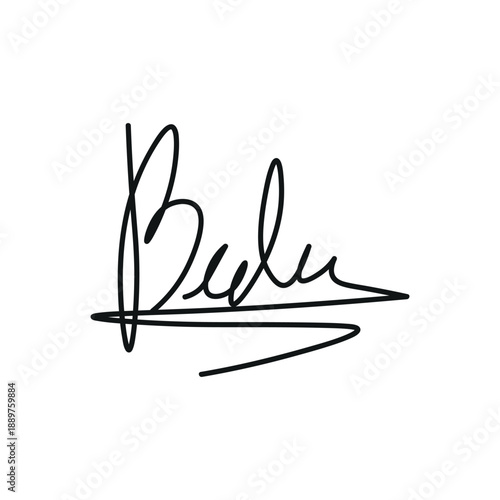 Handwritten Signature