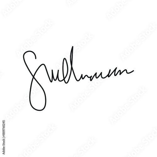 Handwritten Signature