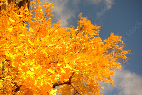 Wallpaper Mural Paris, France Torontodigital.ca