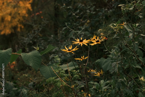 Wallpaper Mural Paris, France Torontodigital.ca