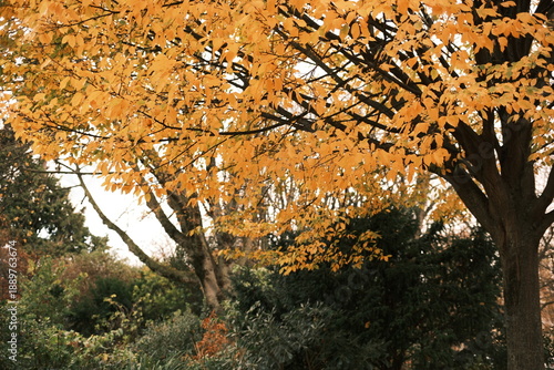 Wallpaper Mural Paris, France Torontodigital.ca