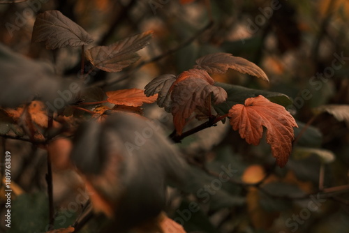 Wallpaper Mural Paris, France Torontodigital.ca