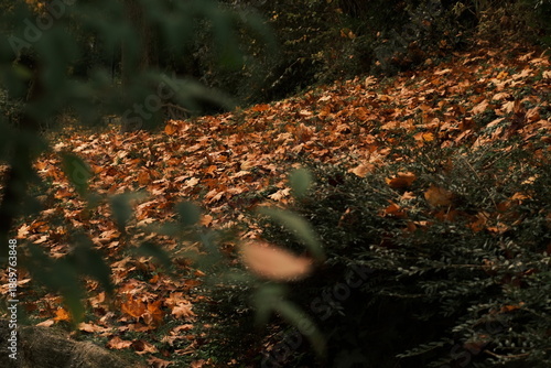 Wallpaper Mural Paris, France Torontodigital.ca