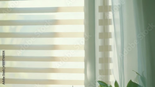 Green plant branch with fresh leaves receives soft natural light filtering through horizontal window blinds and a sheer curtain, creating a serene and airy indoor atmosphere