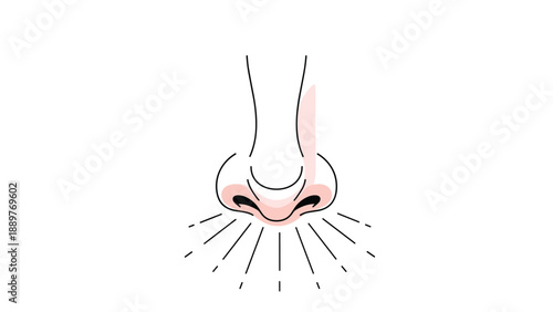 Minimalist line art illustration of a human nose inhaling, with lines indicating the perception of a pleasant smell, aroma, or scent.