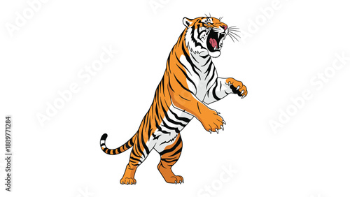 Powerful tiger illustration shown standing on its hind legs with mouth wide open in a fierce roar against a clean white background.