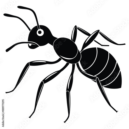Macro vector illustration of a black ant and a spider isolated on white featuring detailed legs and antennae to depict these small insects and nature pests in a close-up view