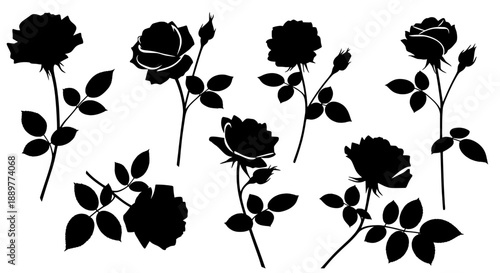 Rose silhouettes collection