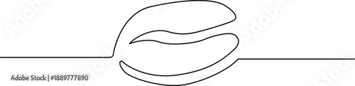 Abstract line drawing of shell Vector