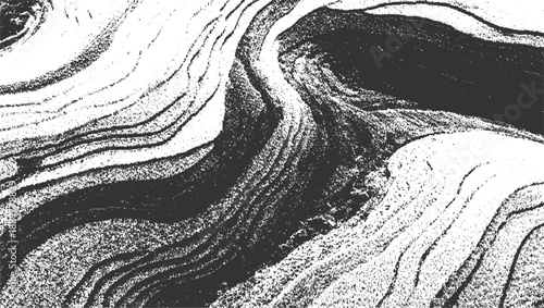 Black and white abstract texture with swirling organic lines and granular detail pattern